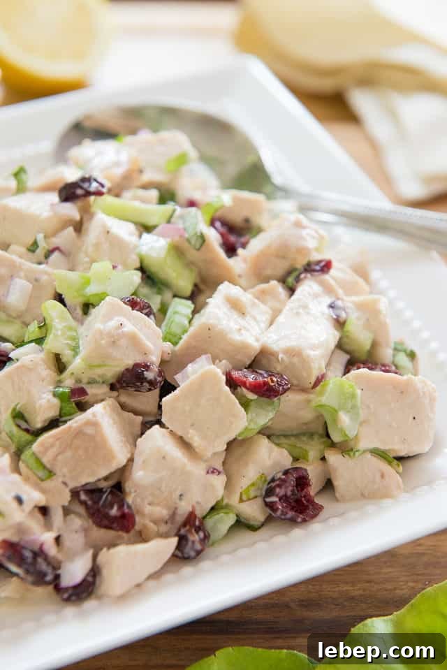 20+ Picnic and Potluck Salads That Stay Fresh and Travel Well 14 Cranberry Chicken Salad - in White Dish with Celery and Craisins