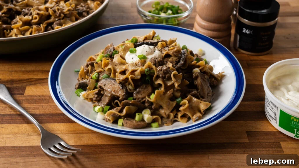 Classic Ground Beef Stroganoff with Egg Noodles Recipe 8 img 23343 15