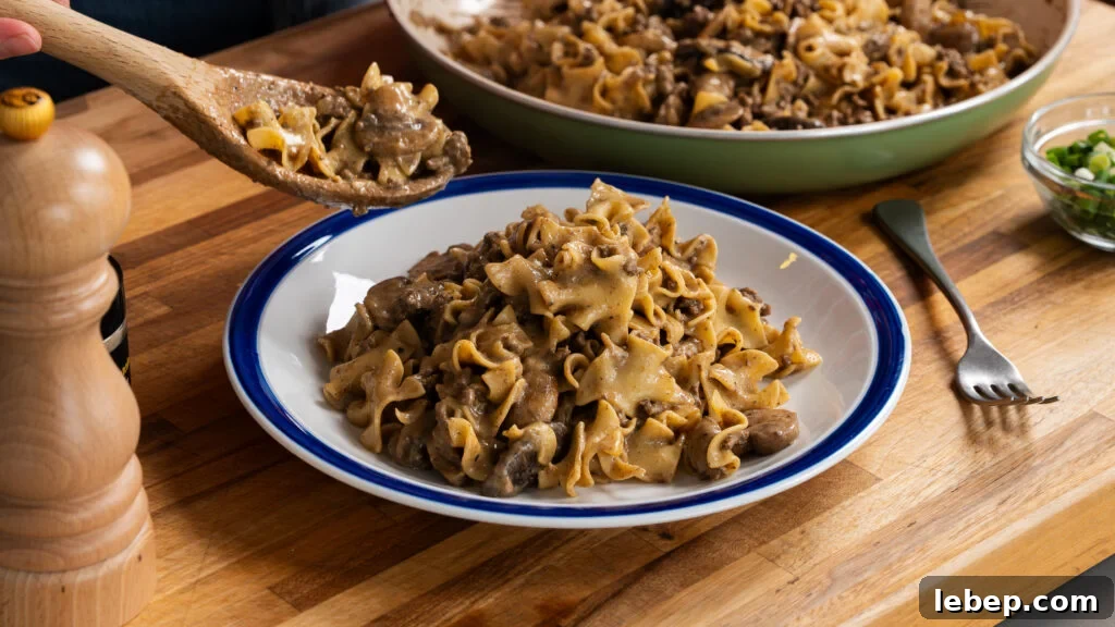 Classic Ground Beef Stroganoff with Egg Noodles Recipe 10 img 23343 17