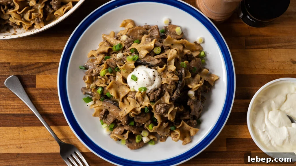 Classic Ground Beef Stroganoff with Egg Noodles Recipe 2 img 23343 2
