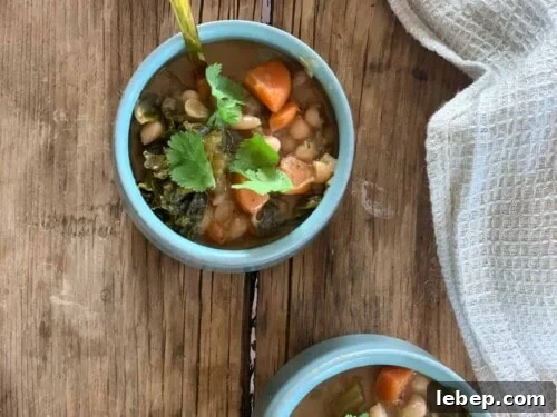 Instant Pot Navy Bean Soup