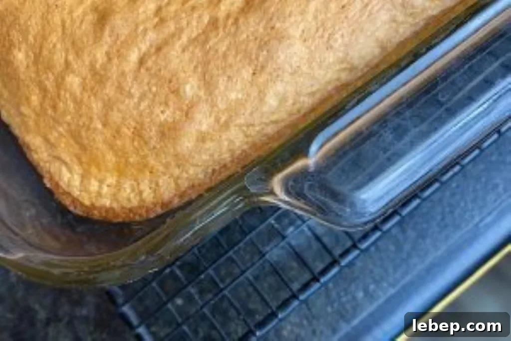 Baked cake in pan