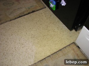 img 2447 1