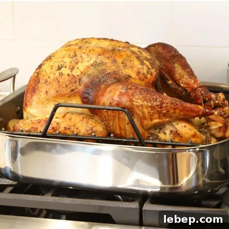 oven roasted turkey