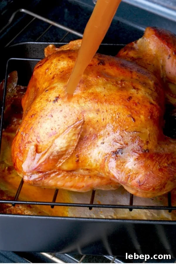 Oven-Roasted Turkey Recipe Without Brining: Juicy, Simple Roast 4 basting turkey