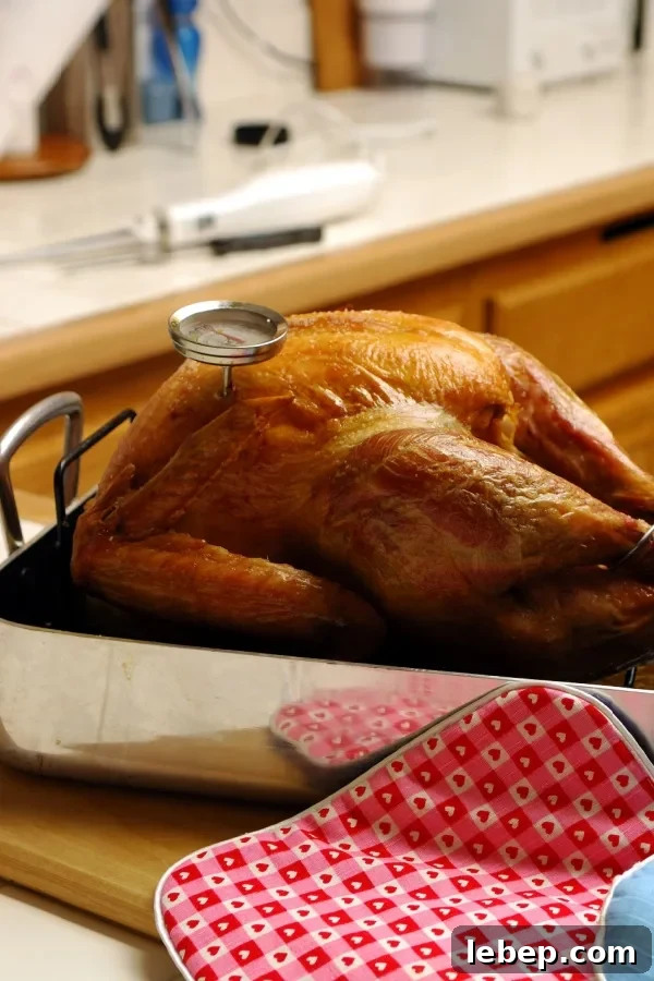 Oven-Roasted Turkey Recipe Without Brining: Juicy, Simple Roast 5 internal temp of turkey breast