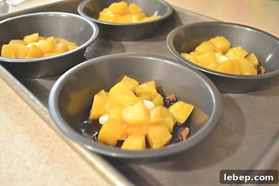 Del Monte Diced peaches and brown sugar Del Monte Diced peaches and brown sugar