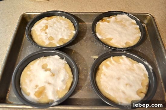 sugared top sugared top