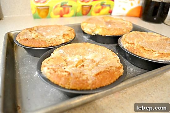 Del Monte Peach Cobbler Pie Baked Del Monte Peach Cobbler Pie Baked
