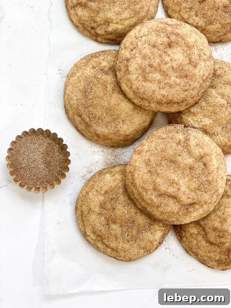 Snickerdoodle Cookies Without Cream of Tartar — Soft, Cinnamon-Sugar Recipe 2 snickerdoodle cookies without cream of tartar