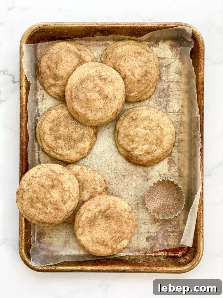 Snickerdoodle Cookies Without Cream of Tartar — Soft, Cinnamon-Sugar Recipe 12 snickerdoodle cookies without cream of tartar baked and on baking sheet with cinnamon and sugar