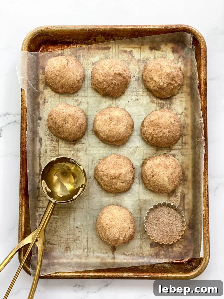 Snickerdoodle Cookies Without Cream of Tartar — Soft, Cinnamon-Sugar Recipe 3 snickerdoodle cookie dough on a baking sheet with the cookie scoop