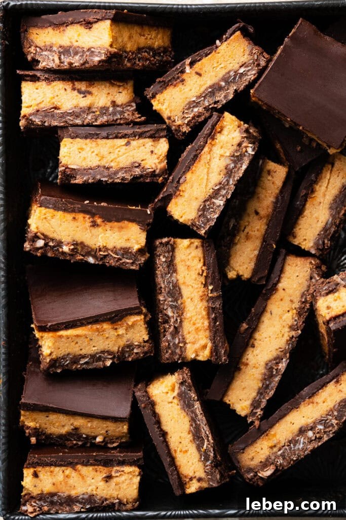 Slices of chocolate pumpkin bars in a metal tin.