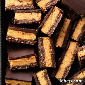 Close up of sliced chocolate and persimmon layer bars in a metal pan.