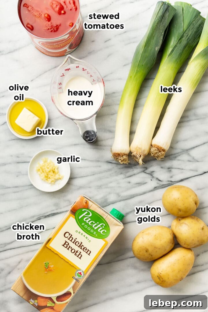 Creamy Potato, Leek & Tomato Soup Recipe for Cozy Meals 3 ingredients for potato leek tomato soup on a countertop