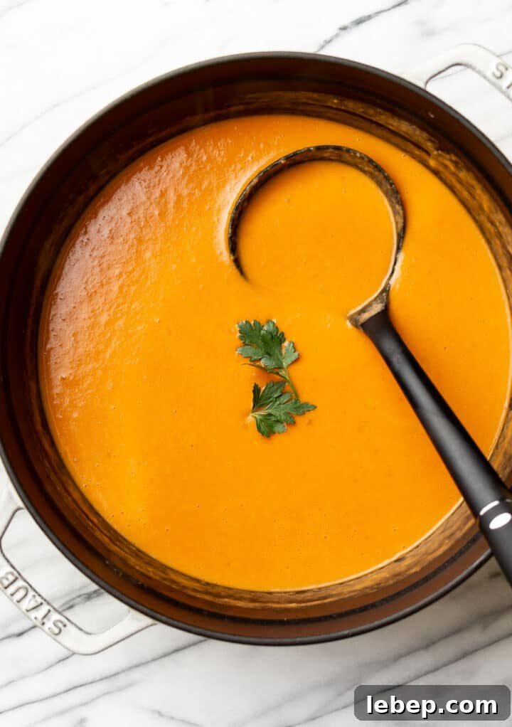 Creamy Potato, Leek & Tomato Soup Recipe for Cozy Meals 6 a pot of tomato, leek, potato soup with a ladle