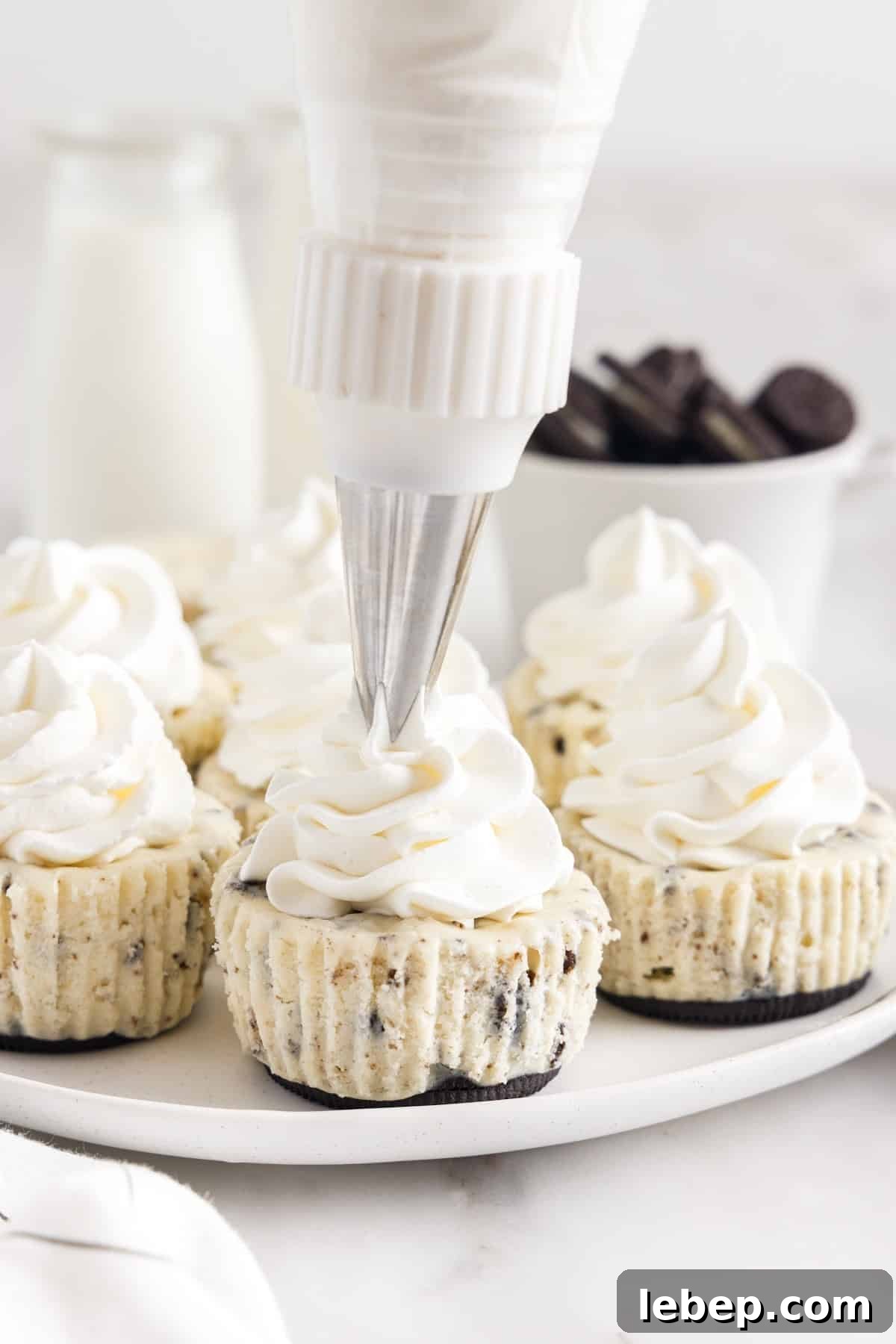 Piping the whipped topping on top of the mini cheesecakes.