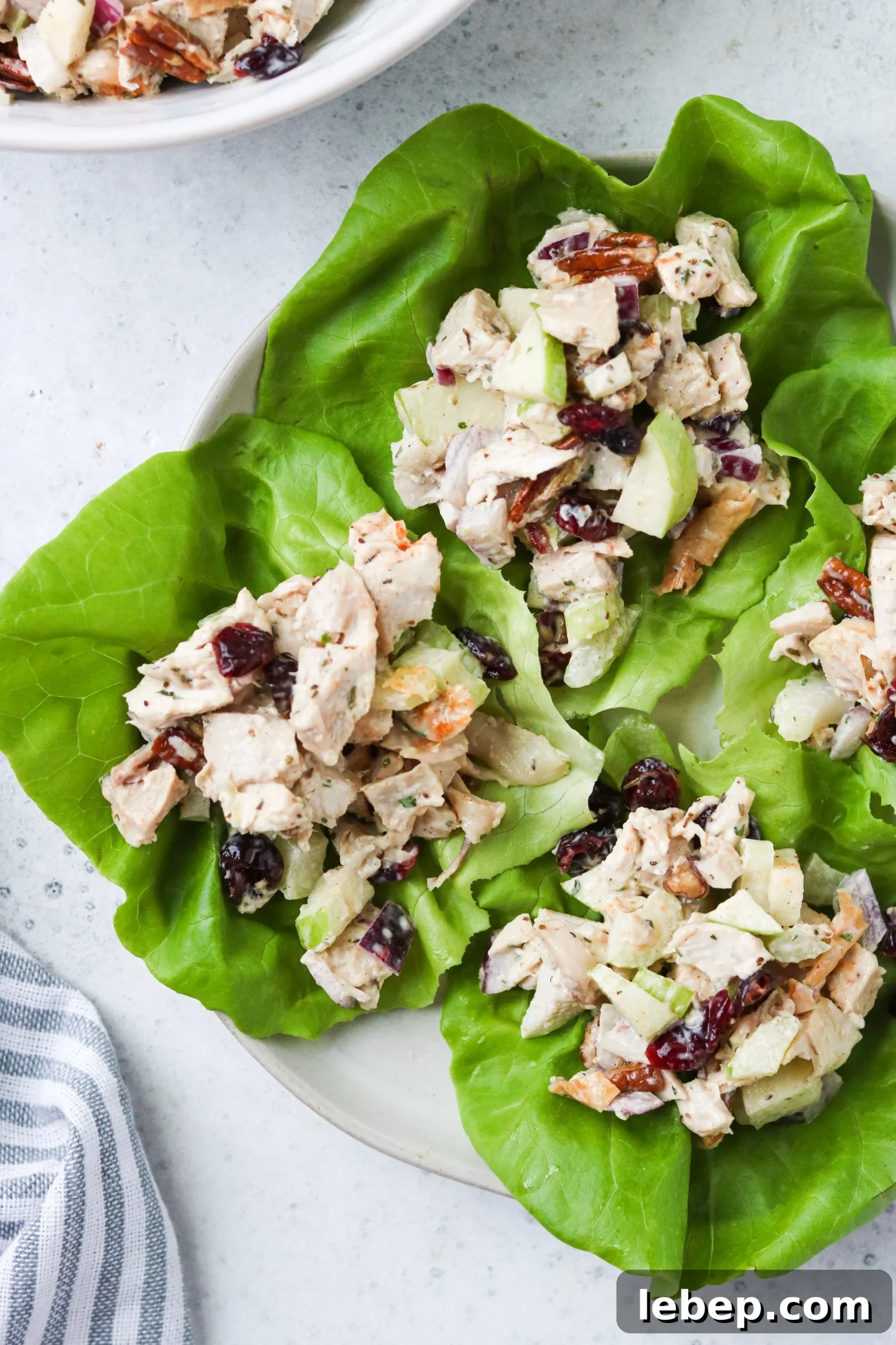 cranberry pecan chicken salad on lettuce wraps