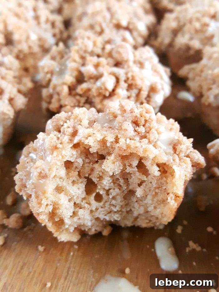 Sour Cream Coffee Cake Mini Muffins: Bite-Sized Breakfast Treats 3 Mini Coffee Cake Muffins - Little sour cream coffee cake mini muffins that are easy to make and will steal the show at breakfast, brunch, or dessert!
