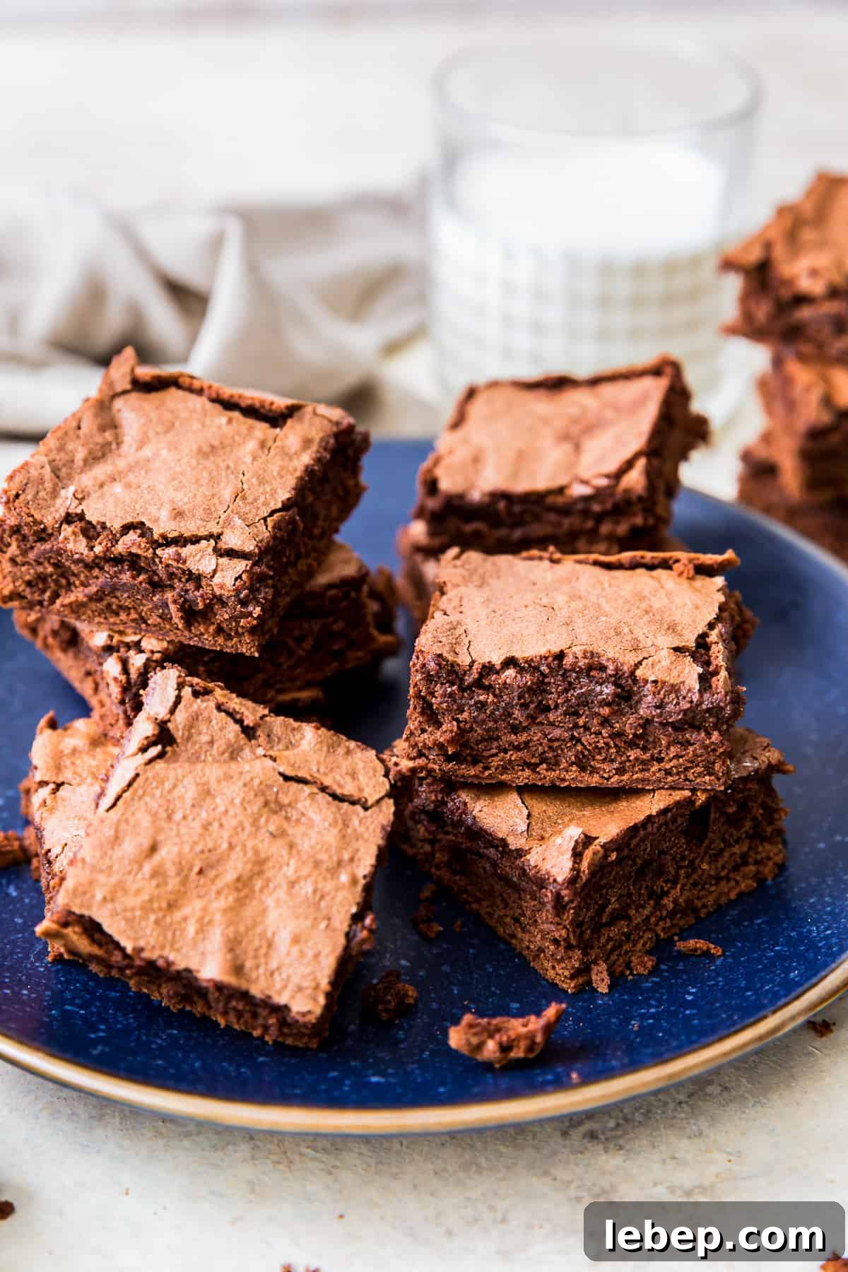 S'mores Brownies Recipe: Gooey Chocolate Graham Bars 11 Cakey Brownies