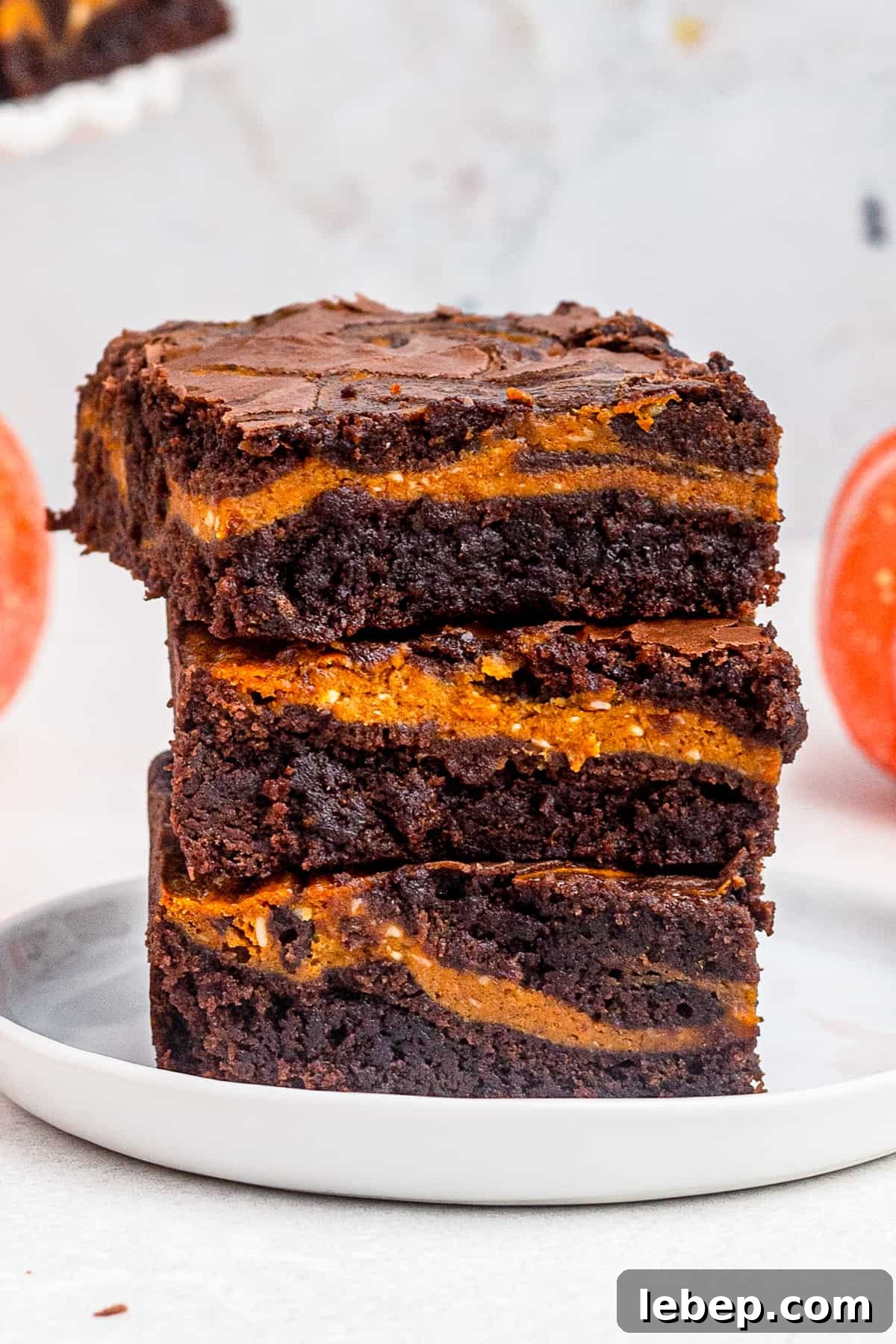 S'mores Brownies Recipe: Gooey Chocolate Graham Bars 12 Pumpkin Brownies