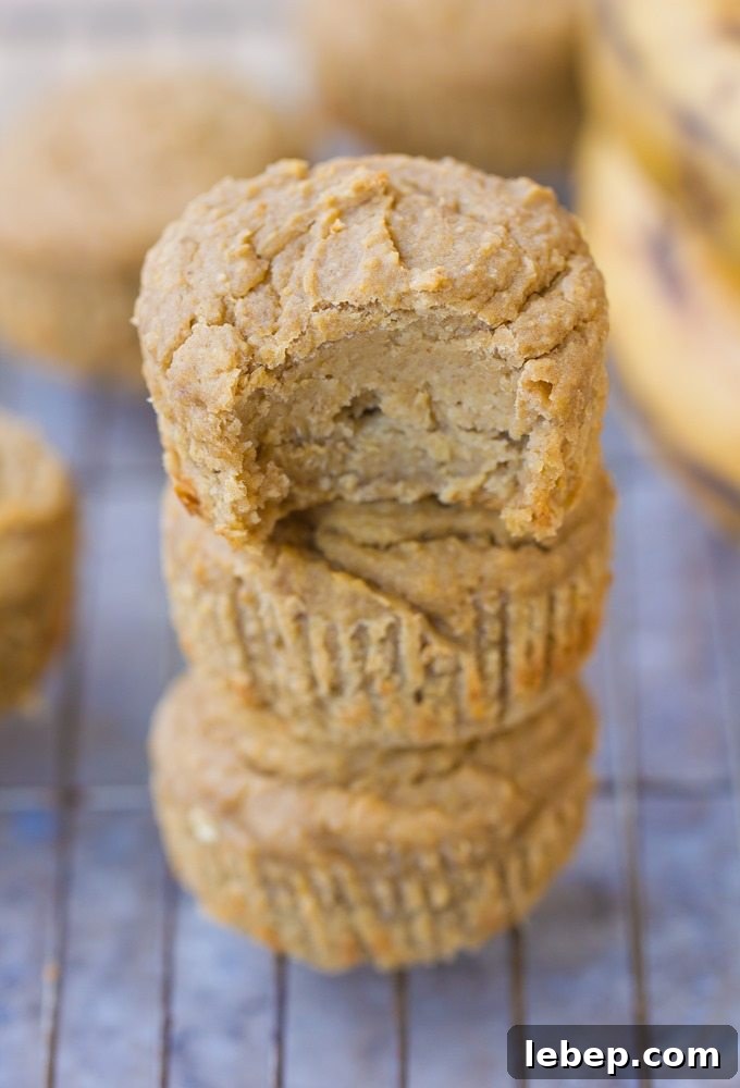 blender muffins blender muffins