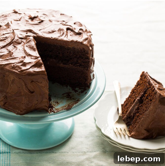 Vegan Chocolate Cake Vegan Chocolate Cake