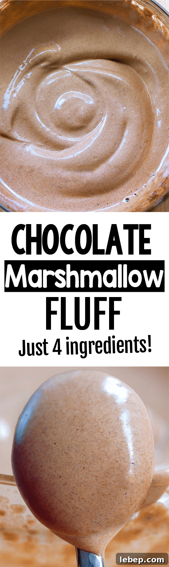 Secretly Healthy Vegan Chocolate Marshmallow Fluff Recipe img 29582 7