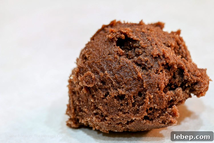 Crispy Gluten-Free Chocolate Cookies with a Surprise Ingredient 3 scoop of dough; Secret Ingredient Crispy Chocolate Cookies © 2019 Jane Bonacci, The Heritage Cook