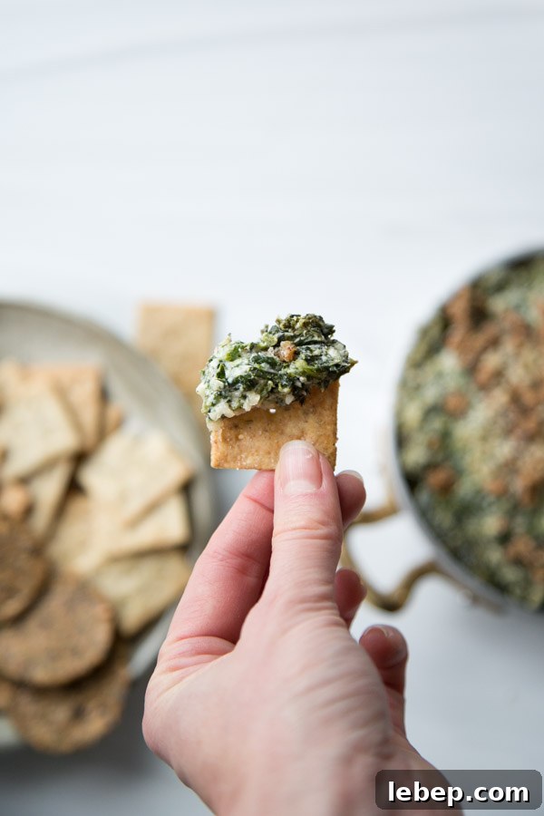 Creamy Warm Spinach Dip — Dairy- and Gluten-Free Recipe 16 hand holding gluten-free cracker with spinach dip on it