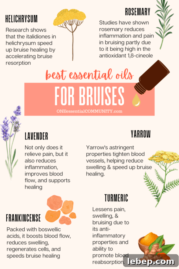 DIY Arnica and Essential Oil Gel for Bruises: Faster Healing Formula 3 Best Essential Oils for Bruises