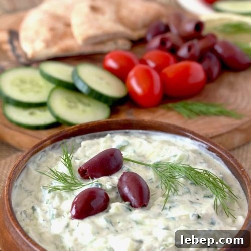 Authentic Greek Tzatziki Sauce Recipe — Creamy Cucumber Yogurt Dip 6 Greek Tzatziki Sauce is made from just a few ingredients. Fresh cucumbers and Greek yogurt are the base of this fresh, light and healthy sauce. Perfect as a dip, condiment or as an accompaniment to many Mediterranean dishes.