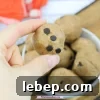 Paleo cookie dough ball being held between fingers.