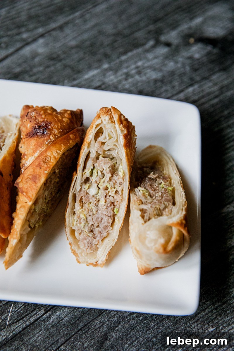 Crispy Homemade Egg Rolls Recipe with Savory Dipping Sauce 3 Egg rolls and dipping sauce