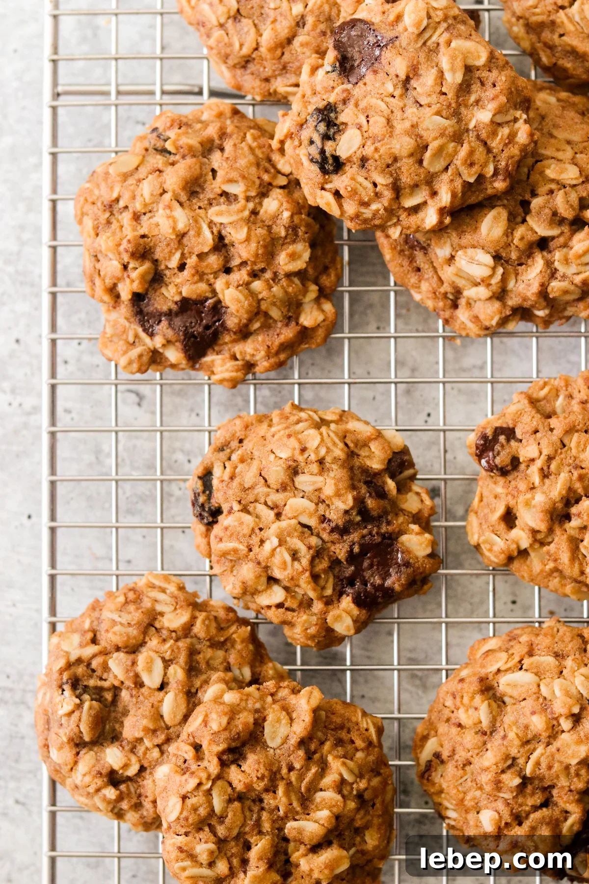 Gluten-Free Vegan Oatmeal Cookies Recipe for Chewy Perfection 2 baked vegan oatmeal cookies on a wire cooling rack
