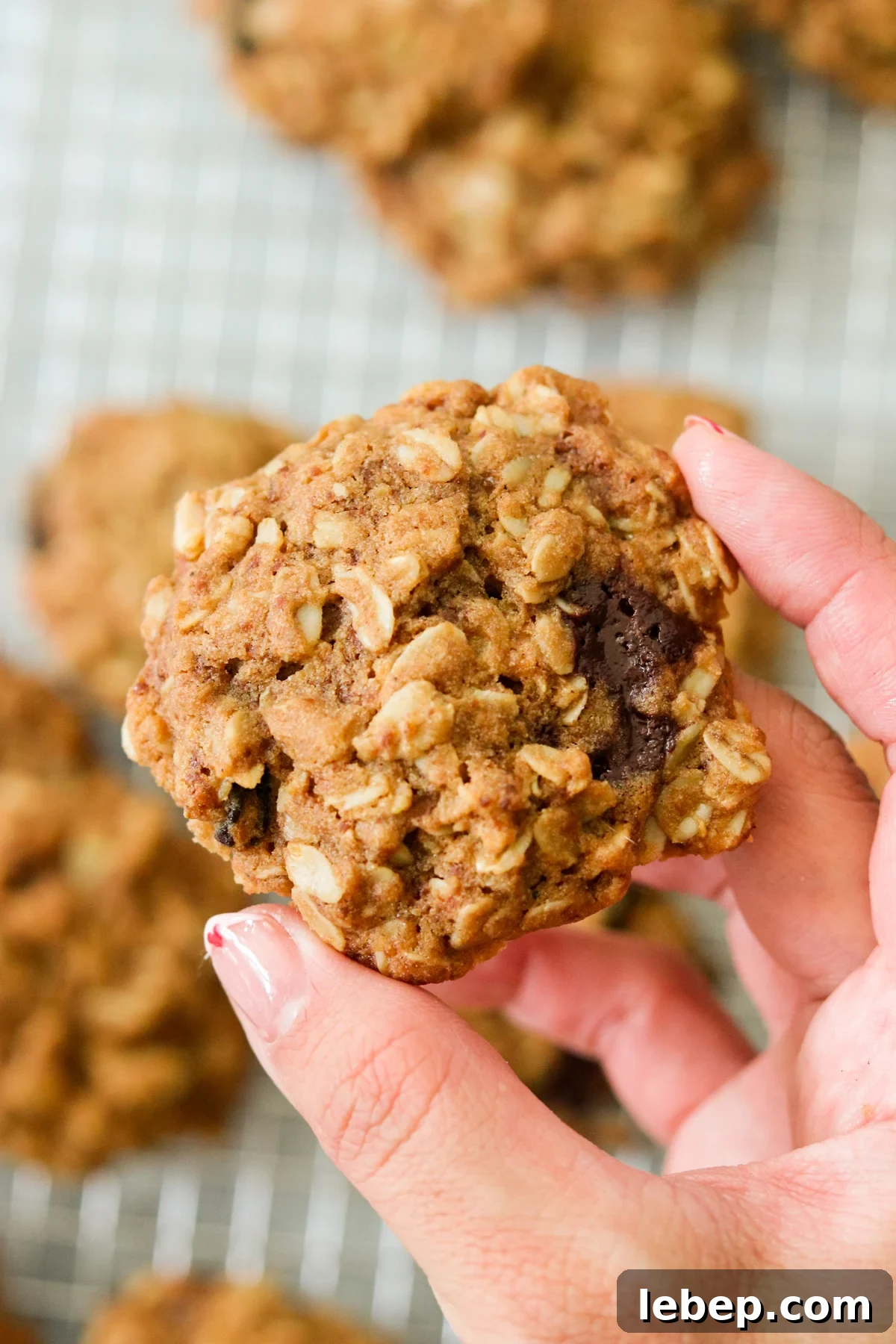 Gluten-Free Vegan Oatmeal Cookies Recipe for Chewy Perfection 6 a closeup shot of a hand holding a baked cookie