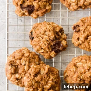 Gluten-Free Vegan Oatmeal Cookies Recipe for Chewy Perfection 7 baked vegan oatmeal cookies on a wire cooling rack