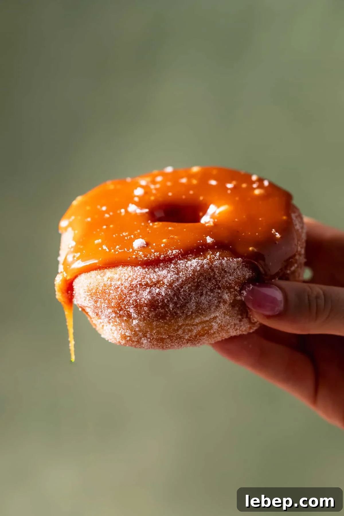 Salted Caramel Donuts with Shiny Caramel Glaze 2 A hand holding a donut with caramel dripping off the side.