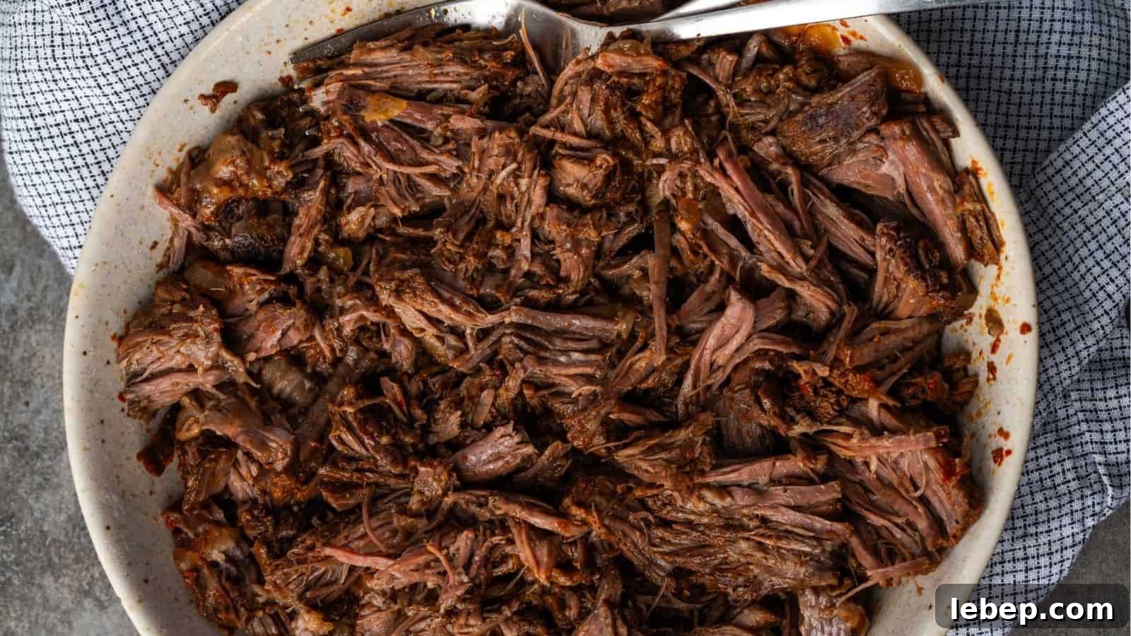 Dutch Oven Birria