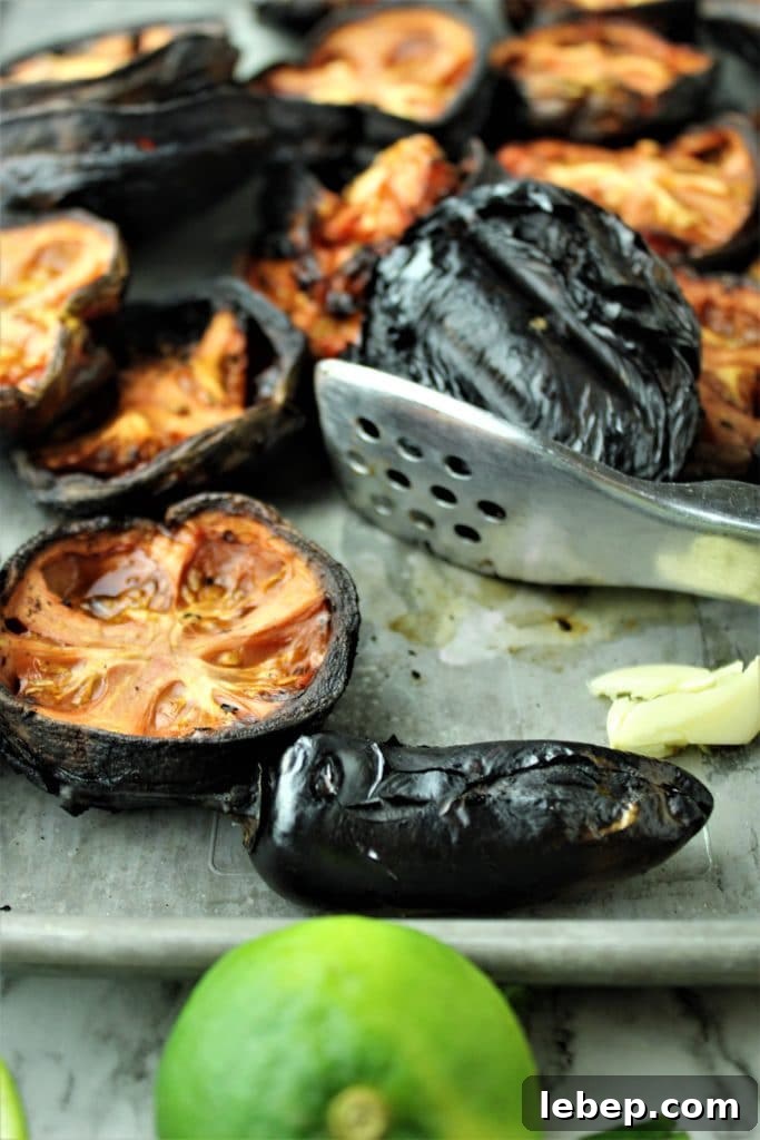 Homemade Baja Fresh-Style Salsa Recipe — Fresh & Zesty Flavor 3 charred tomatoes and jalapeno
