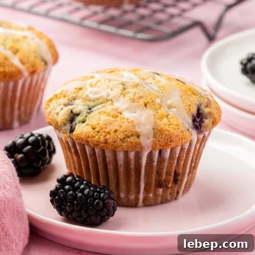 A single gluten-free blackberry muffin with lemon glaze on a dessert plate with fresh blackberries surrounding it.