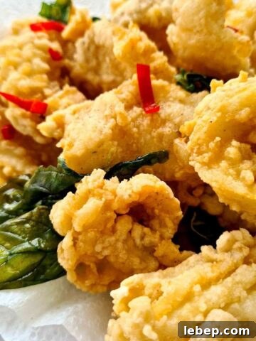 Freshly fried crunchy squid on top of kitchen paper