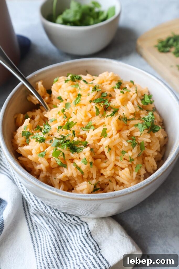Collagen-Rich Bone Broth Rice Recipe for Flavorful Meals 2 white bowl with bone broth rice topped with fresh chopped cilantro