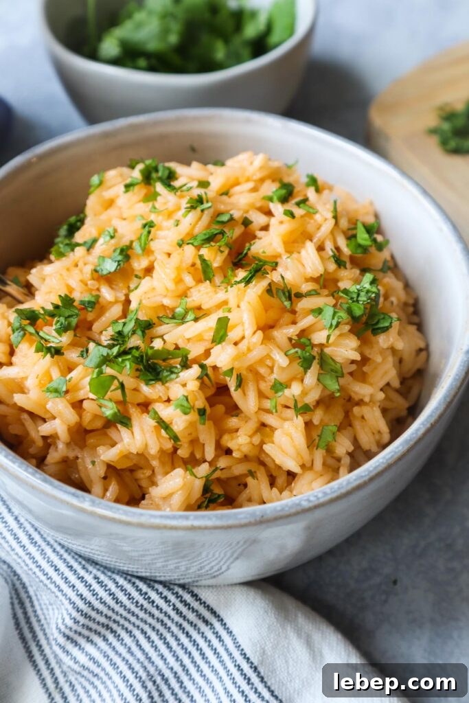 Collagen-Rich Bone Broth Rice Recipe for Flavorful Meals 7 white bowl with bone broth rice topped with fresh chopped cilantro