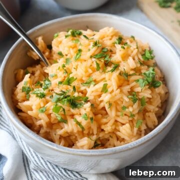 Collagen-Rich Bone Broth Rice Recipe for Flavorful Meals 8 white bowl with bone broth rice topped with fresh chopped cilantro