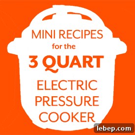 orange graphic for mini Instant pot 3 quart recipes