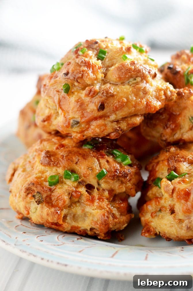 French Onion Soup Biscuit Drops: Savory Homemade Comfort Bites 2 French Onion Soup Drop Biscuits. No kneading, no cutting in butter, no mess. These only take 25 minutes from start to finish!| hostthetoast.com