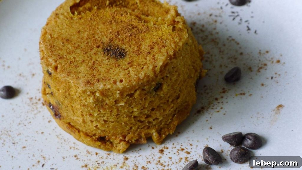 Gluten-Free, Dairy-Free Chocolate Chip Cake Recipe 2 healthy chocolate chip cake
