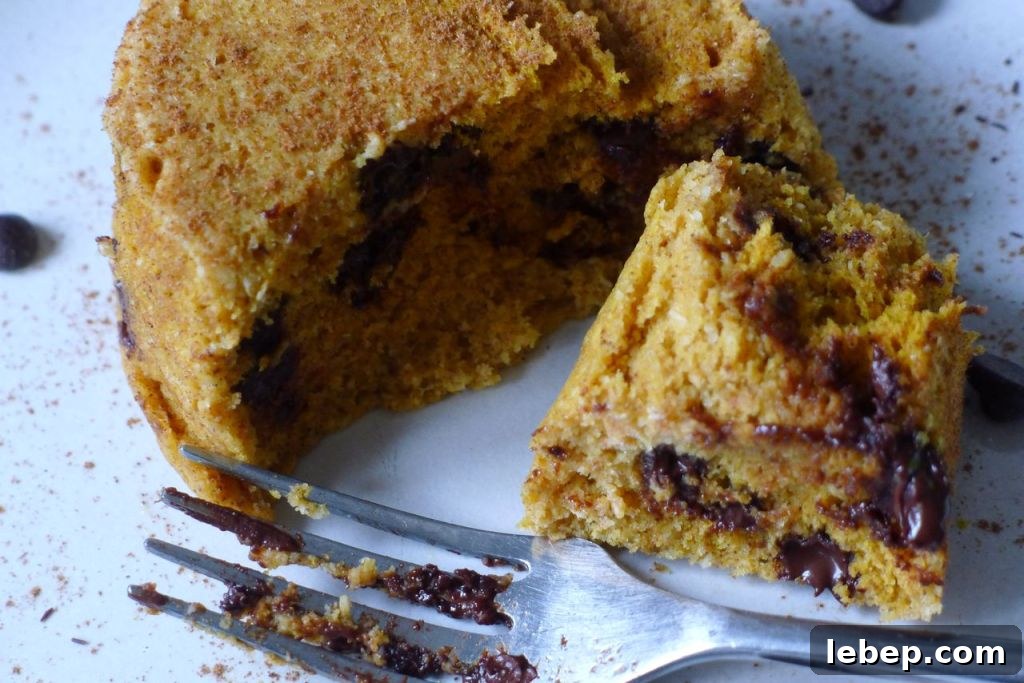 Gluten-Free, Dairy-Free Chocolate Chip Cake Recipe 4 healthy chocolate chip cake cut open