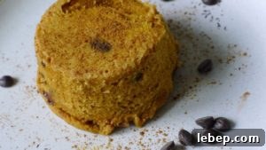 Gluten-Free, Dairy-Free Chocolate Chip Cake Recipe 6 img 4032 5
